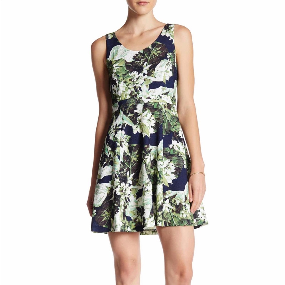 NWT , Cynthia Steffe floral cocktail dress, strapless, brown, green, ivory , 12